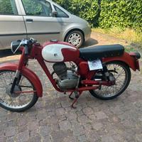 aereomere capriolo 75 tv