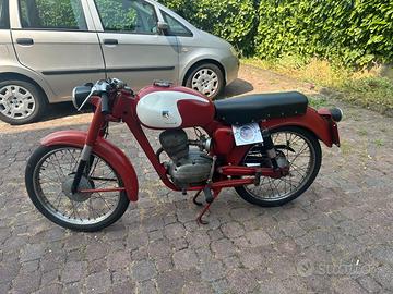 aereomere capriolo 75 tv