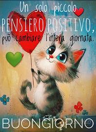 Badante notturna