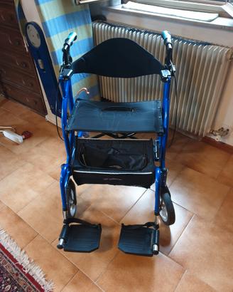 Deambulatore per esterno
