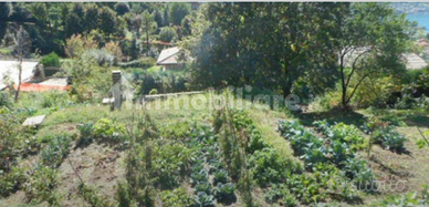 Lotti di terreno agricolo