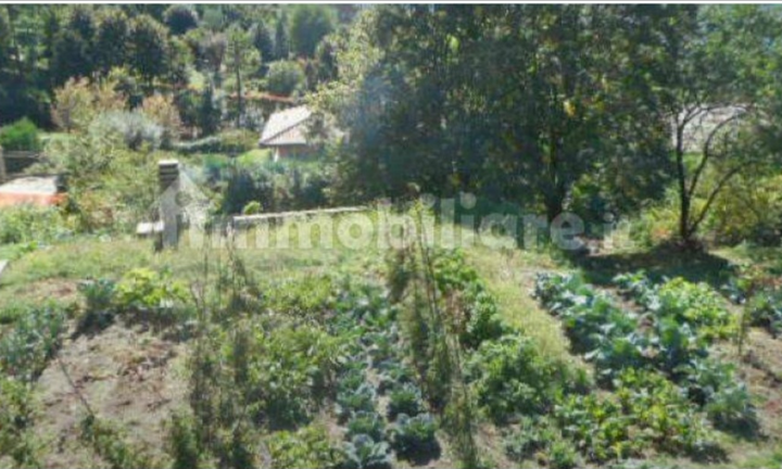 Lotti di terreno agricolo
