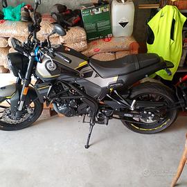 Benelli Leoncino