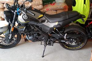 Benelli Leoncino