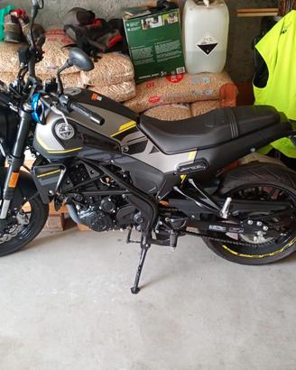 Benelli Leoncino