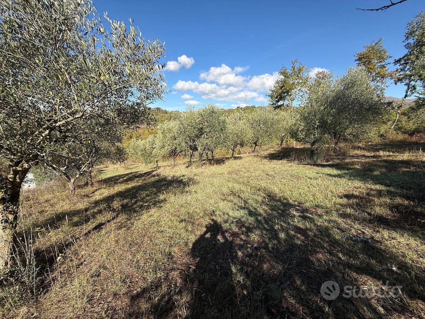 Terreno agricolo - Vista 5