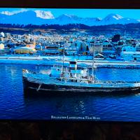 TV OLED PANASONIC 55” ULTRA HD 4K HDR