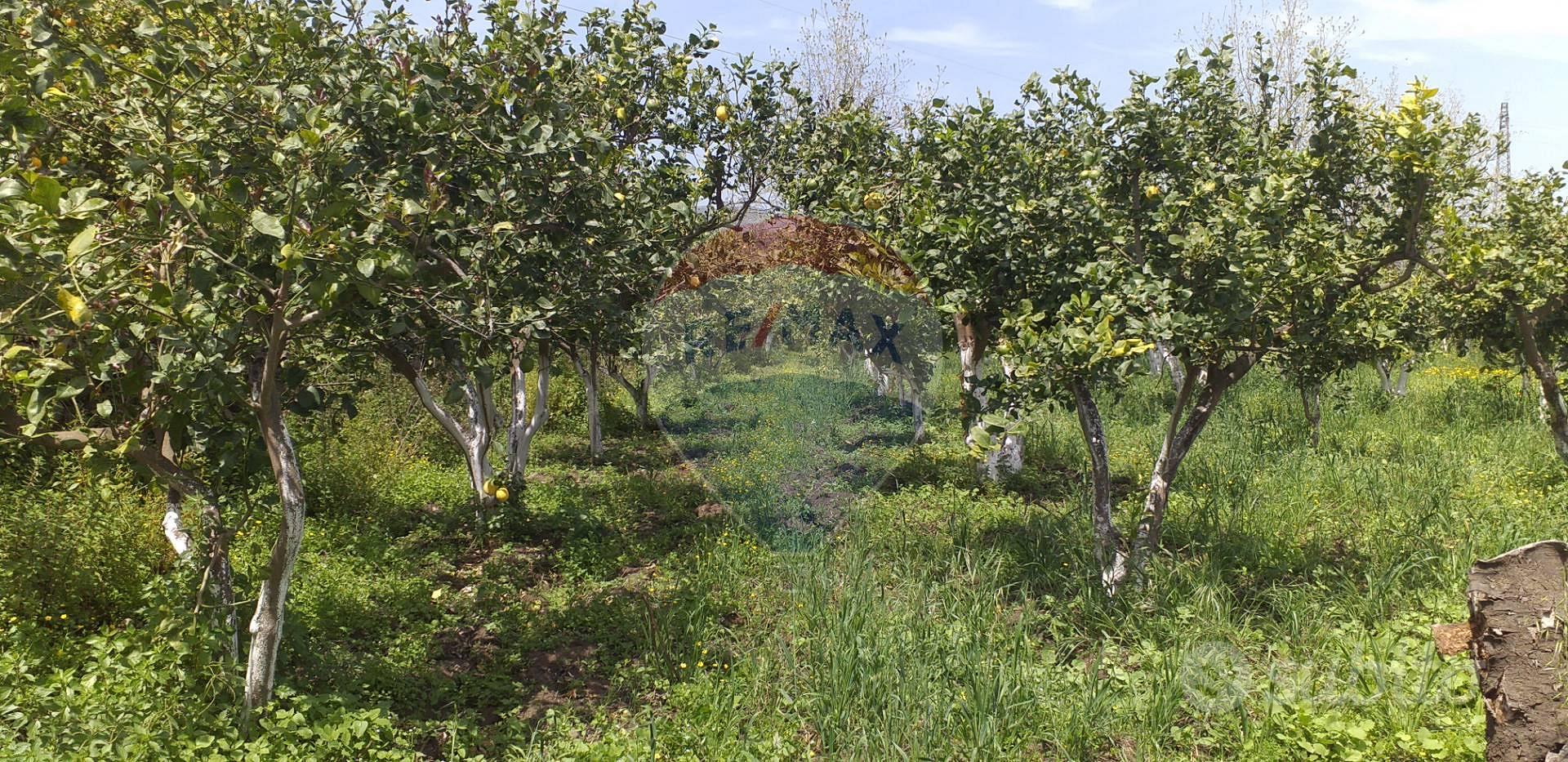 Terreno - Fiumefreddo di Sicilia - View 5
