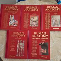 Human Anatomy - Anastasi - Edi Ermes