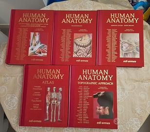 Human Anatomy - Anastasi - Edi Ermes