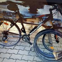 Bicicletta Mountain Bike