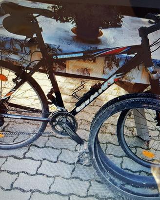 Bicicletta Mountain Bike
