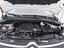 Immagine 7