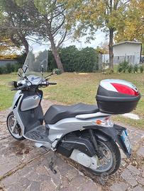 Malaguti Password 250 - 2010