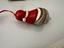 Immagine 4