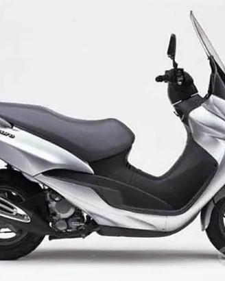 SUZUKI EPICURO 125 150 RICAMBI