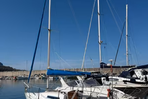 Plastivela Gura