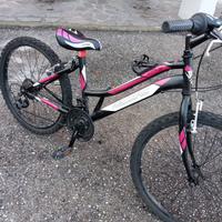 biciclette