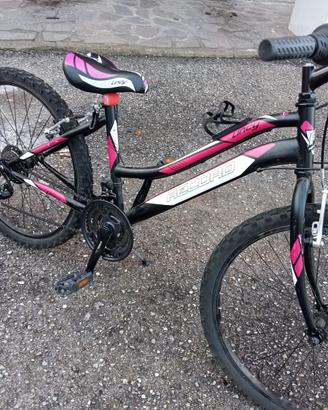biciclette