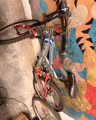 Biciclette
