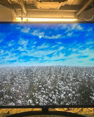 Tv Lg 55 Pollici Smart tv 4k