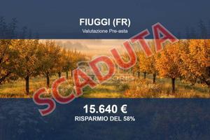 Immobile in asta di 12360 m² a Fiuggi