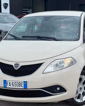 Lancia Ypsilon 1.3 MJT 16V 95 CV 5 porte S&S Openi
