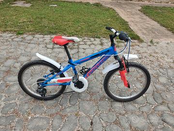 Bicicletta bambino 20 pollici 