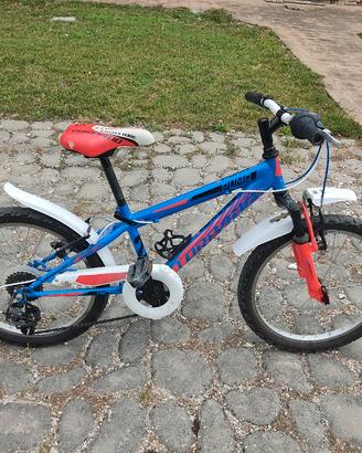 Bicicletta bambino 20 pollici 