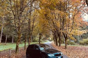 BMW SERIE 1 E87 123D 2008