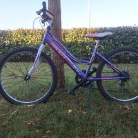 bici MTB 24