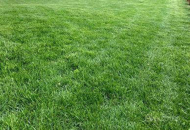 Giardiniere vario tuttofare