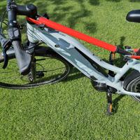 bici elettrica Giant Liv Amiti e+