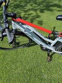 bici elettrica Giant Liv Amiti e+