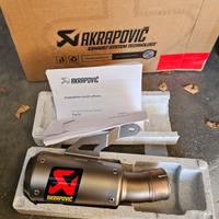 Terminale akrapowic bmw s1000r/rr 