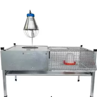 Pulcinaia per Pulcini