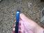 Immagine 5