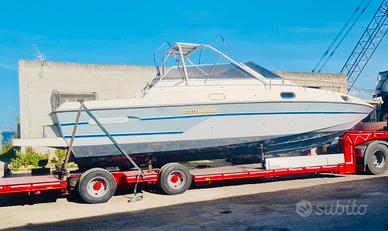 Comam 36 Lupo di Mare