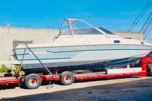 Comam 36 Lupo di Mare