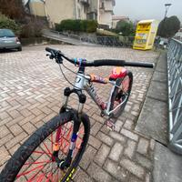 Bici whillie bike