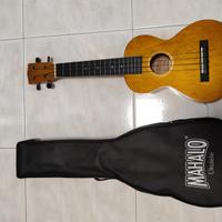 ukulele 