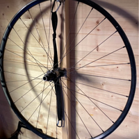 CERCHIO POSTERIORE ROVAL (dt Swiss) 29"