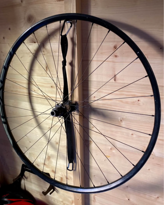 CERCHIO POSTERIORE ROVAL (dt Swiss) 29"