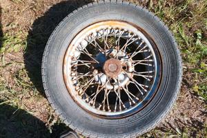 Cercho borrani Milano 13