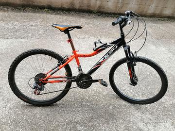 Bicicletta da ragazzo