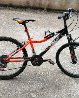 Bicicletta da ragazzo