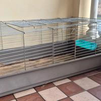 gabbietta per roditori