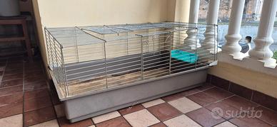 gabbietta per roditori
