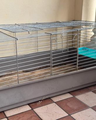 gabbietta per roditori