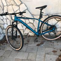 specialized rockhopper pro 29 L